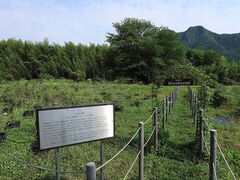 RECLO VILLAGE�̎ʐ^1