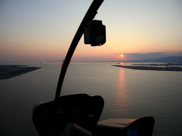 ��̓����ȂŎ��R�̔������i�F�����\���Ă��������B��A�C�A���R�Ɋ��ӂł��I_����q�󊔎����