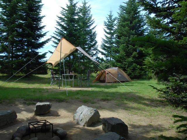 �T�q�i�L�����v��̎ʐ^1