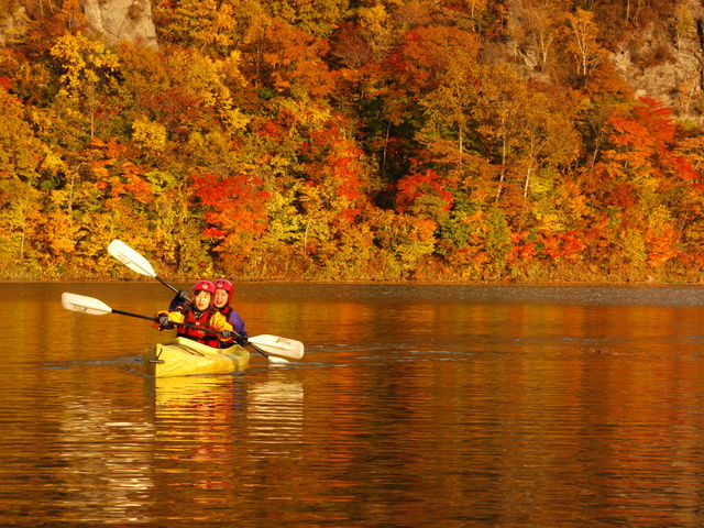 ���t�e�B���O�ƃJ�k�[���Z�b�g�Ȃ�A�����̌�ɂ������̂�т�̃J�k�[���̌��ł��܂��B�H�̍g�t�̎����͍g�t���J�k�[�Ŗ�����Ă��������B_TAC�Ƃ����A�h�x���`���[�N���u