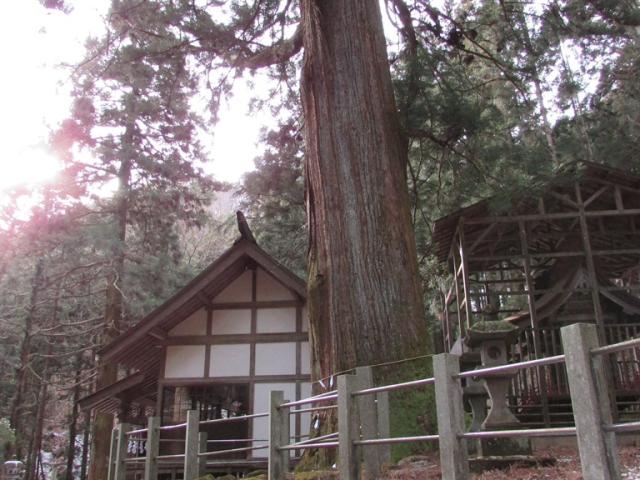 �I���_�Ђ̑吙�̎ʐ^1