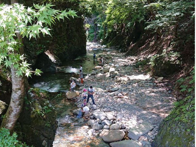 �ޗǎq�ނ�Z���^�[