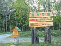 ���ʊx�̎ʐ^1