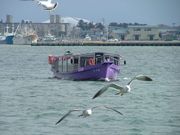 cό@`Dόu݂Âv̎ʐ^3