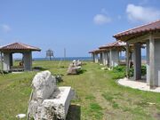 ��X�C�l�����̎ʐ^1