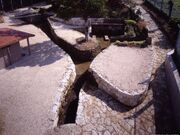 ��F����̎ʐ^1