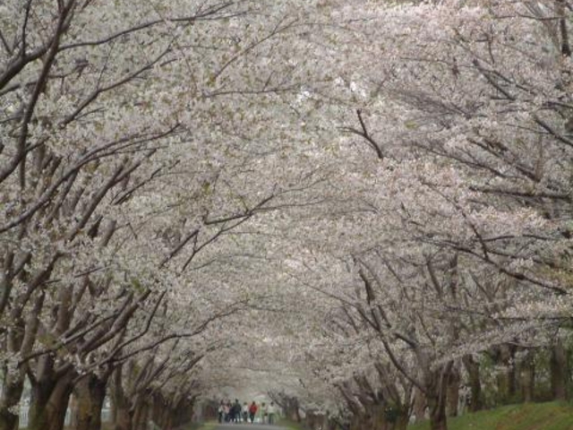 �˓c�L�O��n����