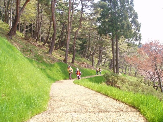 �ӂ邳�Ƃ̐X����