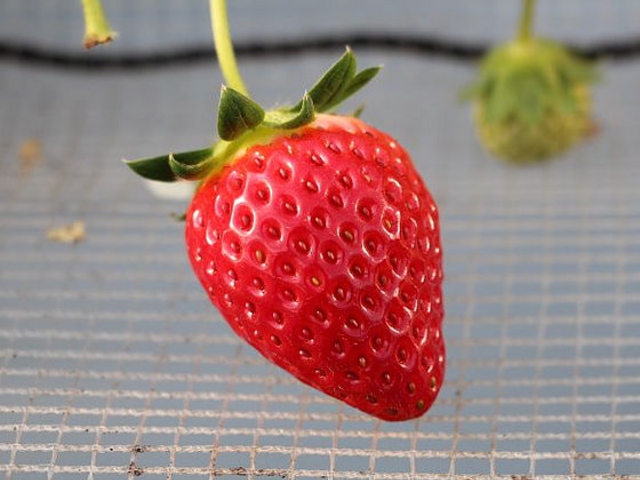 ������������