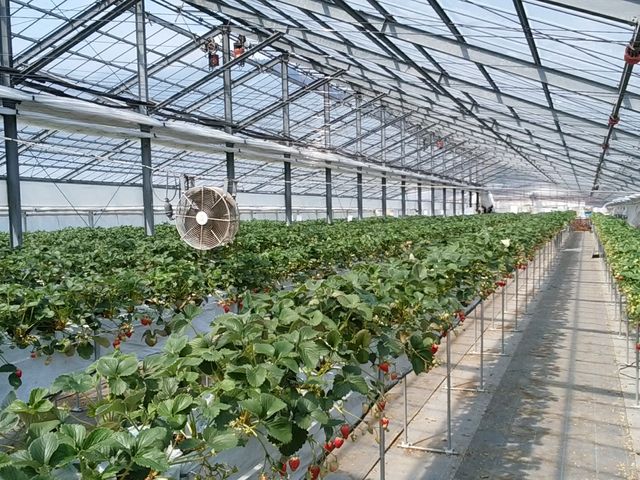 ���c�ό��_��