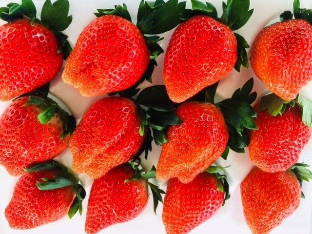 ���g�c �y�c�_��