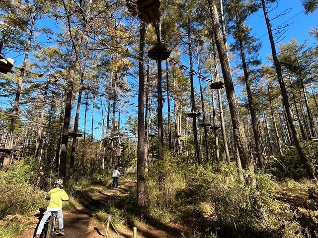 LȎ{݂ɂȂĂ܂_tHXgAhx`[EtW