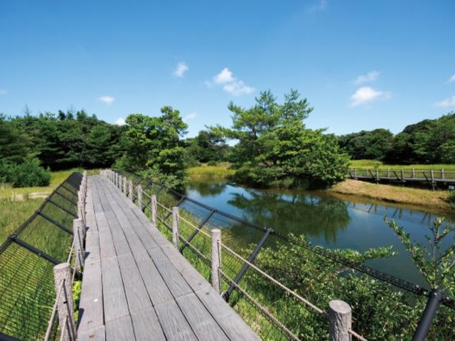 ���玼���̎ʐ^1