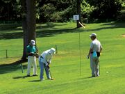 �������ǍL��p�[�N�S���t��̎ʐ^3