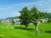 �������ǍL��p�[�N�S���t��̎ʐ^1