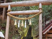 �H���_�Ђ̎ʐ^2