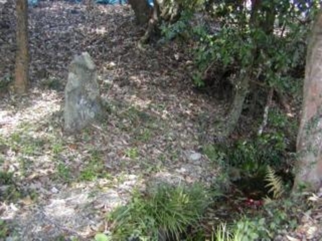 ������̎ʐ^1