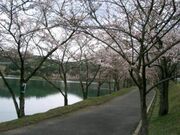 �H���΂̎ʐ^1