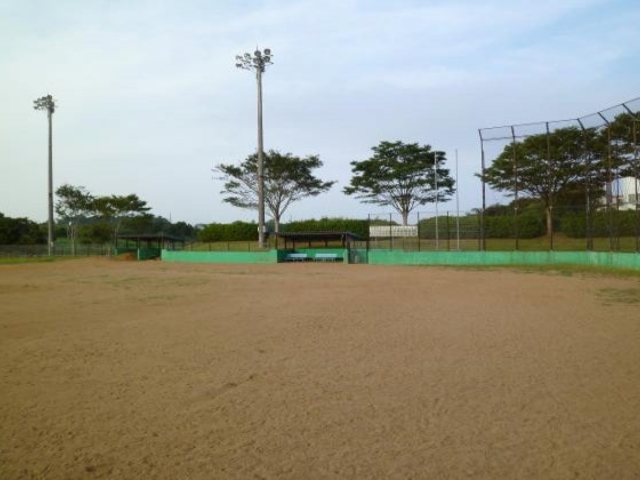 �{���^������