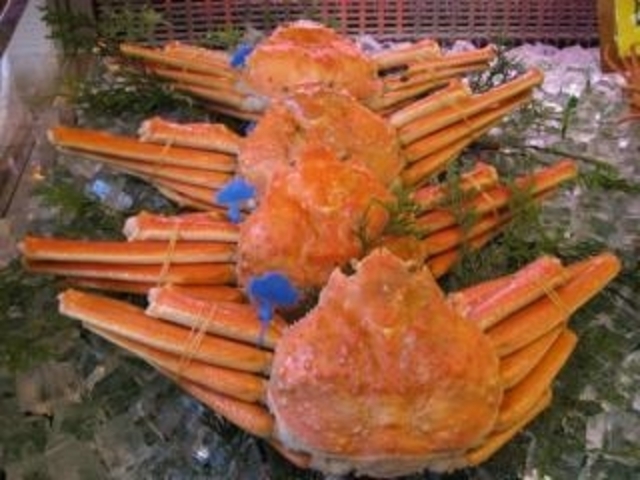 【とよおか津居山港かにまつり「津居山港まちごとかにまつり」】アクセス・営業時間・料金情報 - じゃらんnet