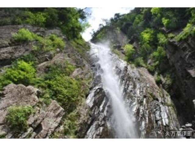 �䗈���̑�2010.5.30_�䗈���̑�