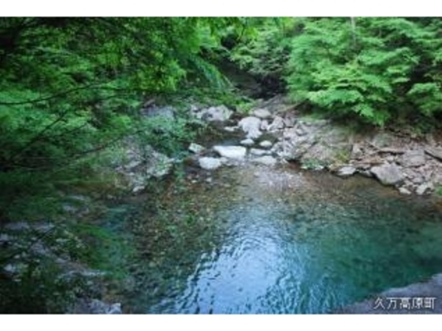 �䗈���̑�܂ł̓���2010.5.30_�䗈���̑�