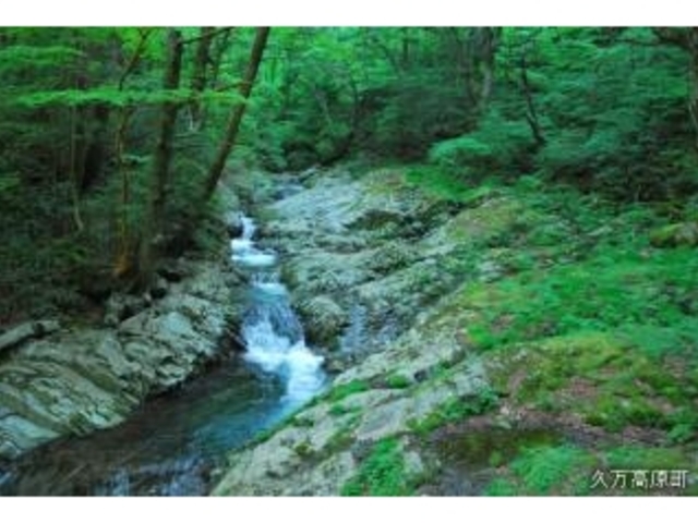 �����i�䗈���̑�̓����j2010.5.30_�䗈���̑�