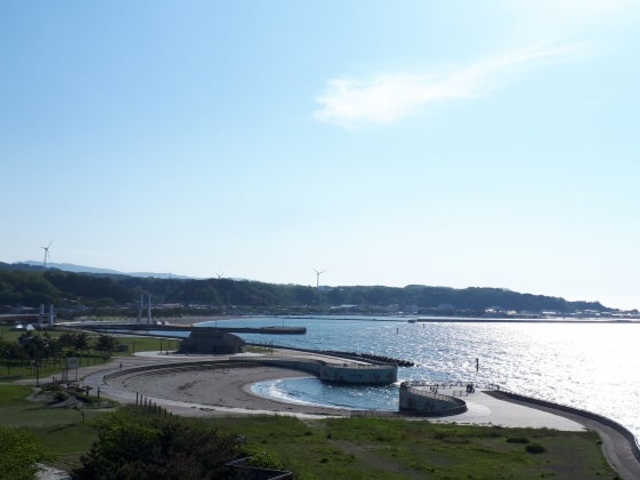 �V�݊C�l�����̎ʐ^1