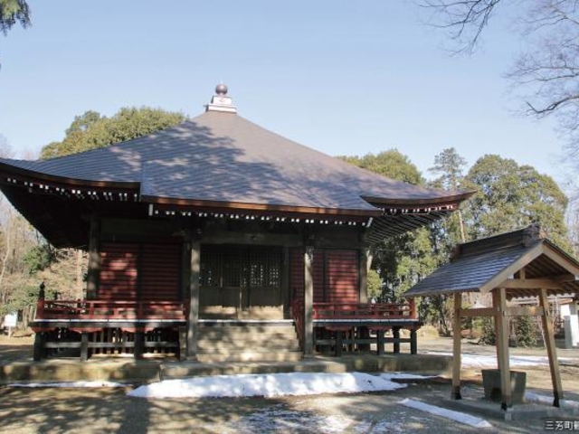 �؃m�{�n�����̎ʐ^1