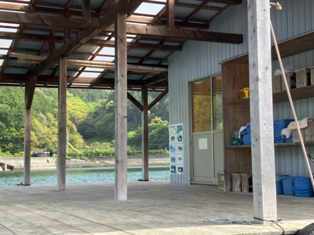 �蔳�[�Y�̎ʐ^1