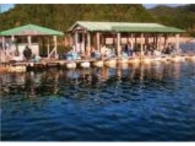 �y�i�ނ蔳�̎ʐ^1