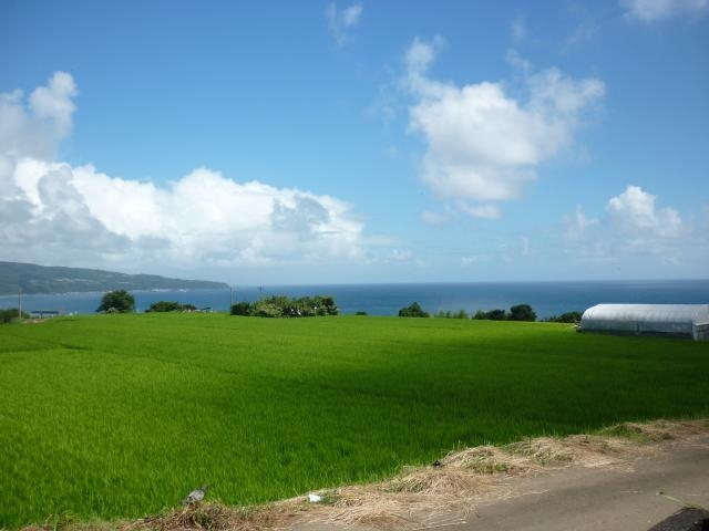 ����n�̎ʐ^1