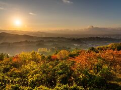 �u��V�X�ь����̎ʐ^1