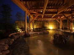 甲賀温泉　やっぽんぽんの湯の写真1