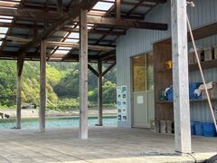 �蔳�[�Y�̎ʐ^1