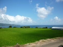 ����n�̎ʐ^1