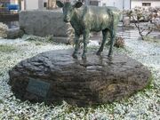 �������ӂ̔�̎ʐ^2