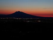 �u��V�X�ь����̎ʐ^2