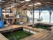 �蔳�[�Y�̎ʐ^2