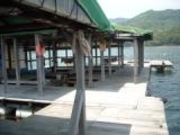 �y�i�ނ蔳�̎ʐ^3