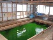 �t�B�b�V���O�|���̎ʐ^3