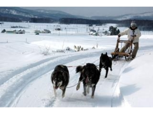 ������̌�