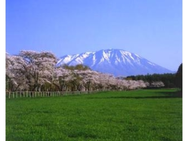 �����_��_�����_��̍�����