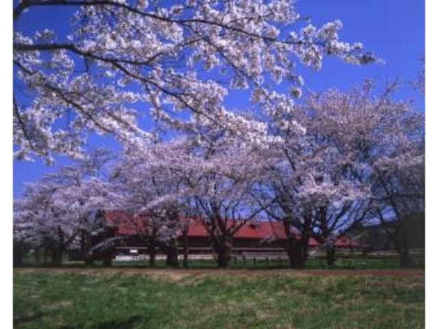 ������ۋ���_�����_��̍�����