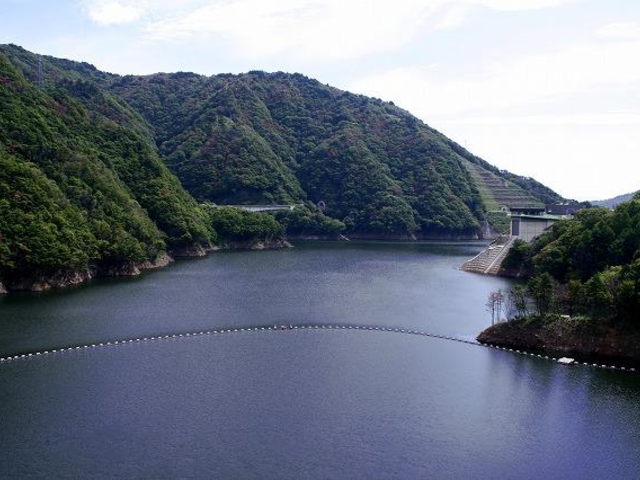 �Ȃ����S�H�΁i����_���΁j�̎ʐ^1