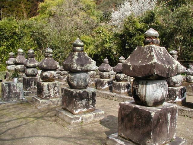 �����ǂ��i�s�w��j�Ձj�̎ʐ^1