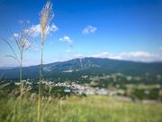 �Ђ邪�̃s�N�j�b�N�K�[�f���̎ʐ^3