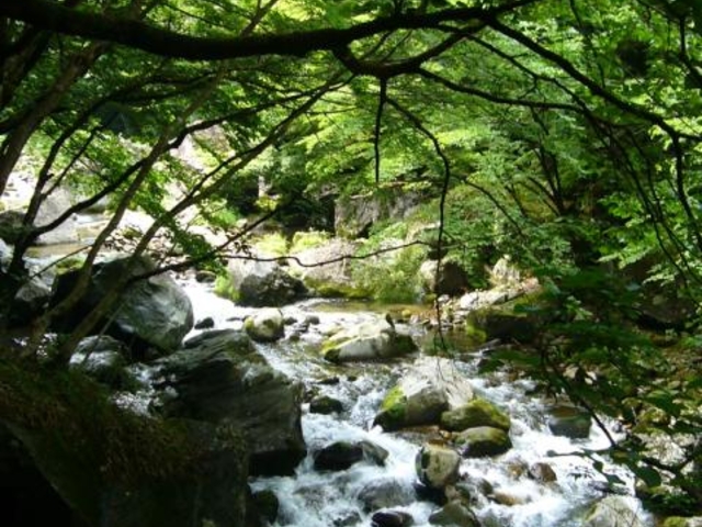 �؂̖��k�J_�؂̖��k�J