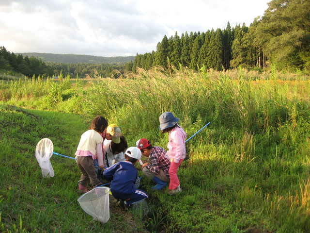 �X�A���ӁA�����ςƃt�B�[���h������A�F��Ȑ�����������ł��܂�_���襖��̐X����