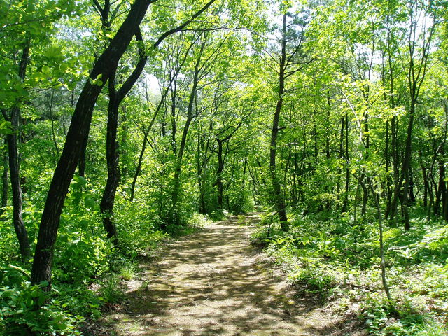 �X�͐�������Ă���̂ŋC�y�ɂ�����ۂ��y���߂܂��B_���襖��̐X����